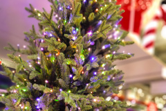 コストのクリスマス