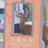 いらっしゃい
