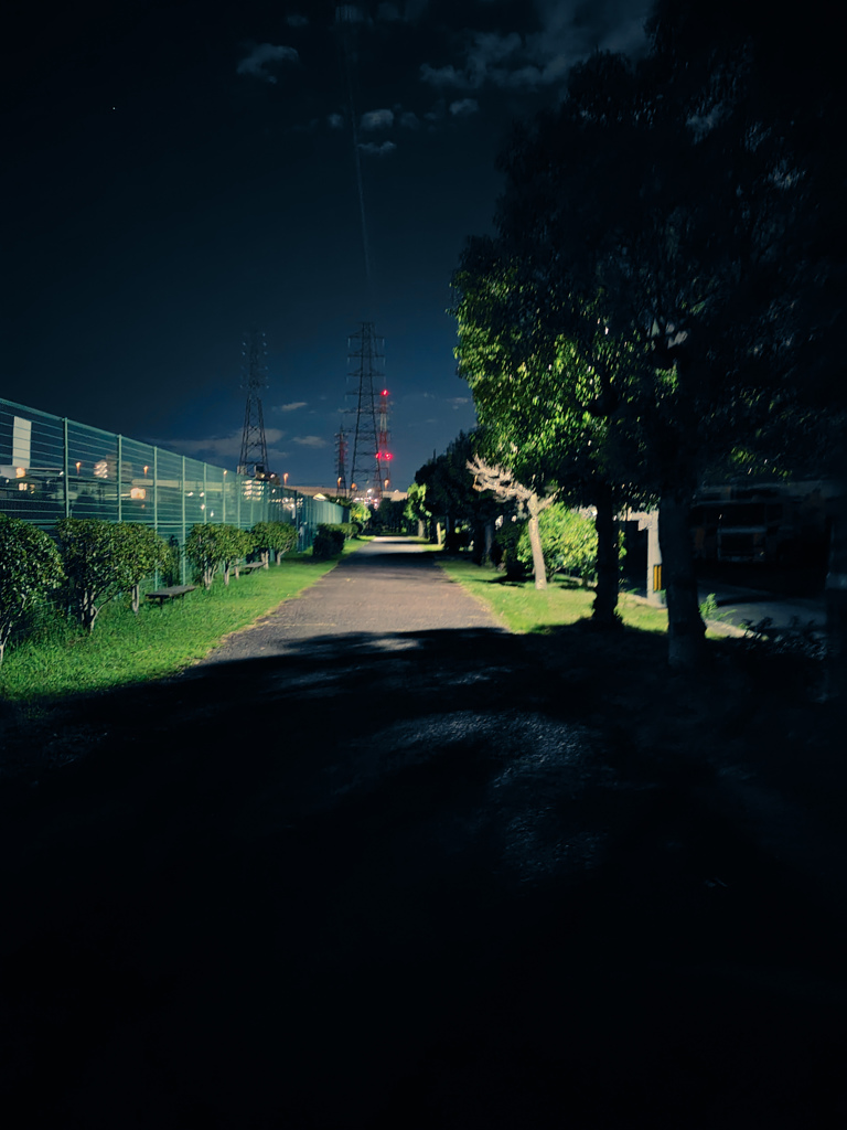 夜の散歩1