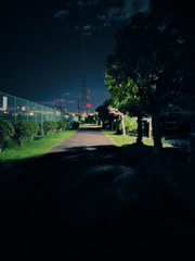 夜の散歩1