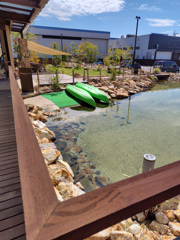 お昼のひととき