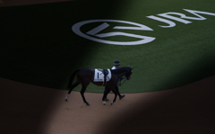 心を整えて、晴れ舞台へ