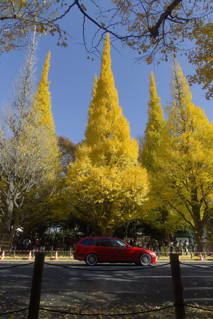 昼下がりの明治神宮外苑