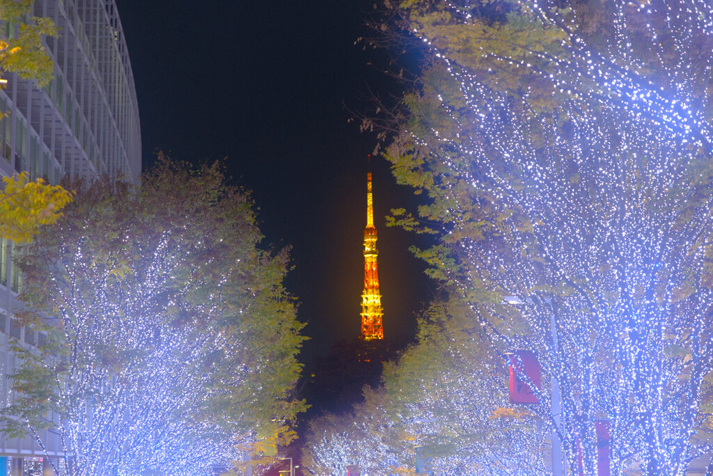 イルミネーション@2025