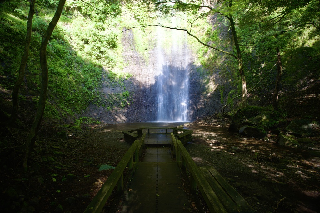 光に包まれる森の滝