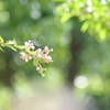 もう9月も中頃になろうとしてるのに・・・