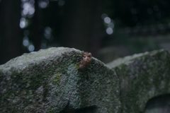 題未定
