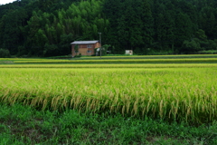 題未定