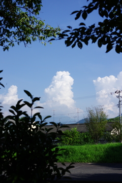 題未定