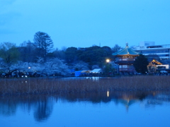 P1000817