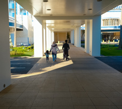 To Disney Ambassador Hotel