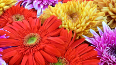 花手水
