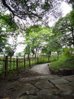 道