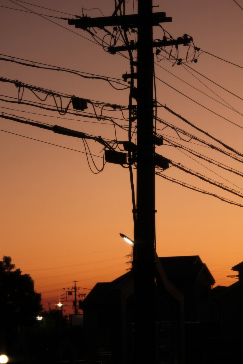 夕焼け