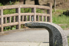蛇口