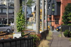 線路沿いの道