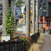 線路沿いの道