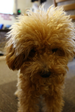 拗ねてる様に見える写真