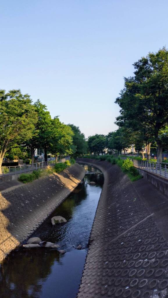 水のある風景