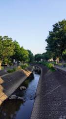 水のある風景