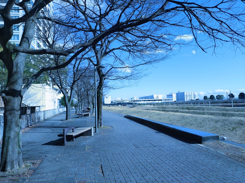 ブルーブルーポートサイド