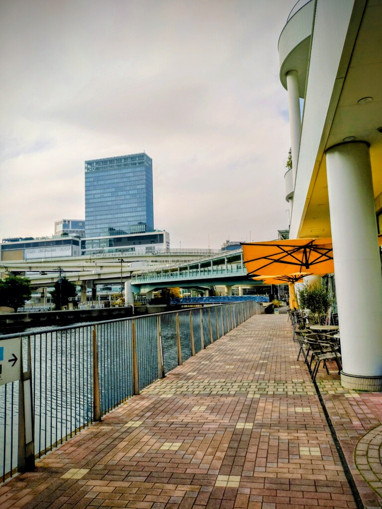 黄色のパラソル