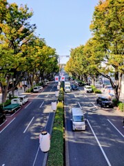 ちょっと表参道　⑤