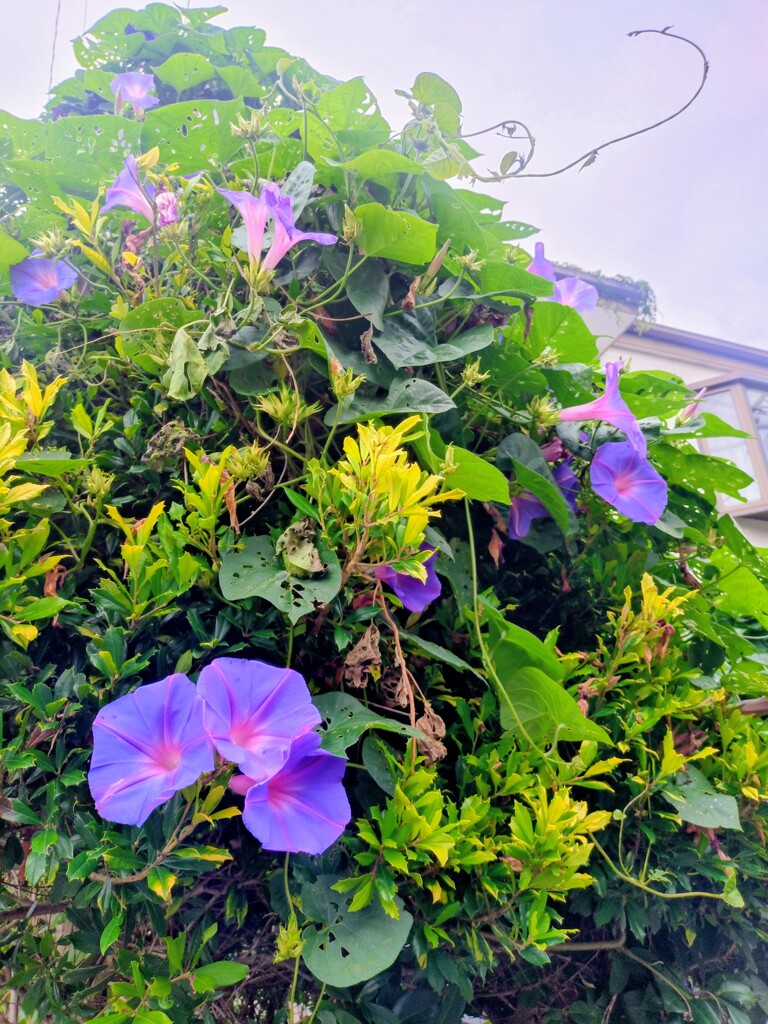 仲良し