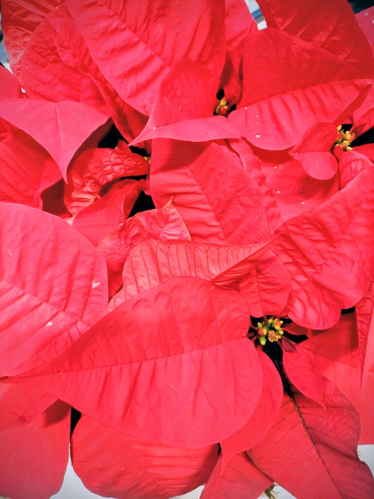 天知る　地知る　私知る