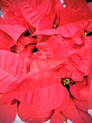 天知る　地知る　私知る