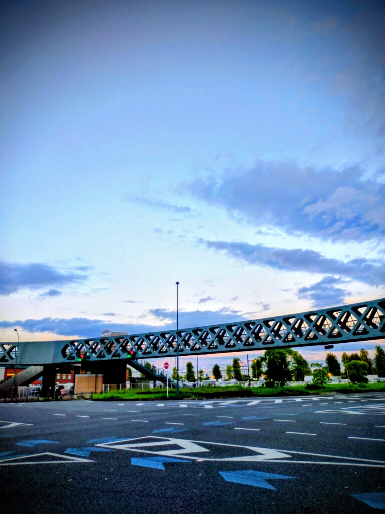 見渡す
