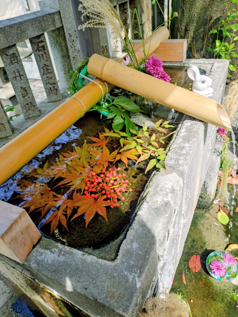 花手水