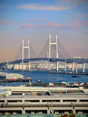 初めてのズーム