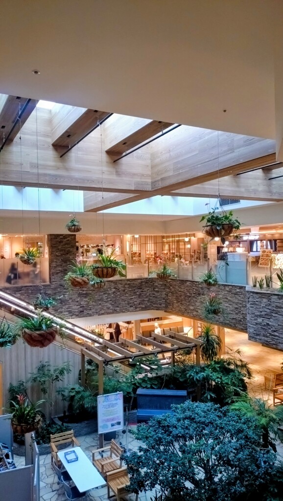 空中庭園