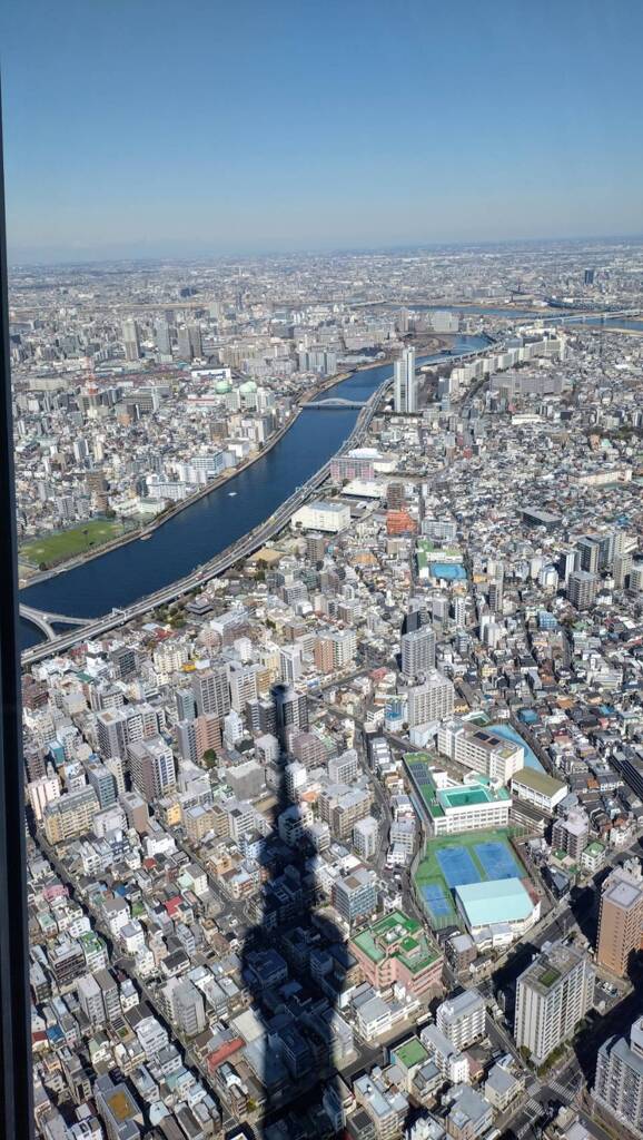 スカイツリーの影