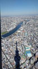 スカイツリーの影