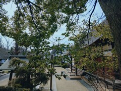 そうだ、京都行きたい