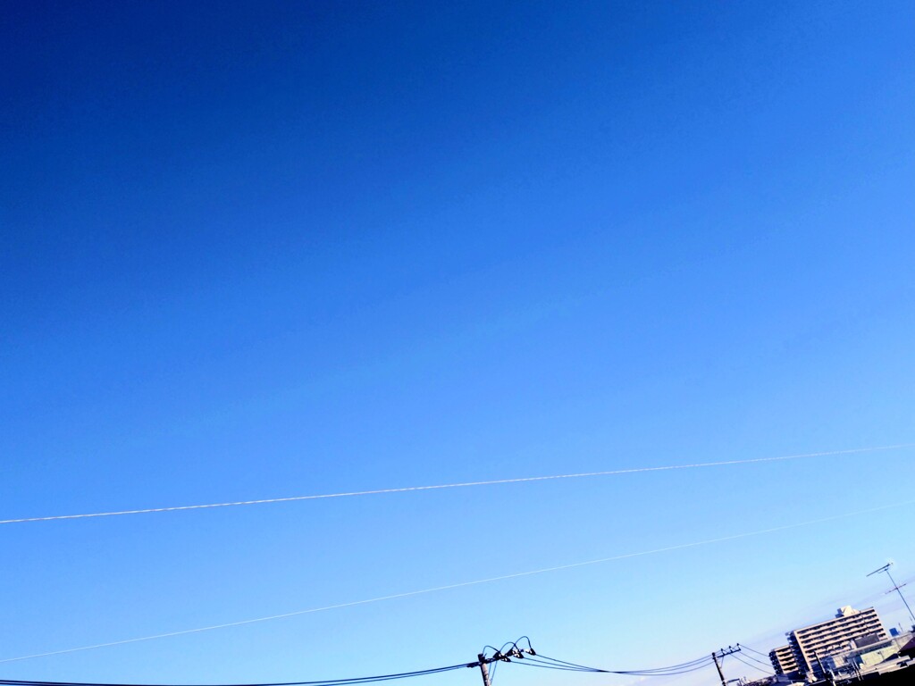 元旦の空