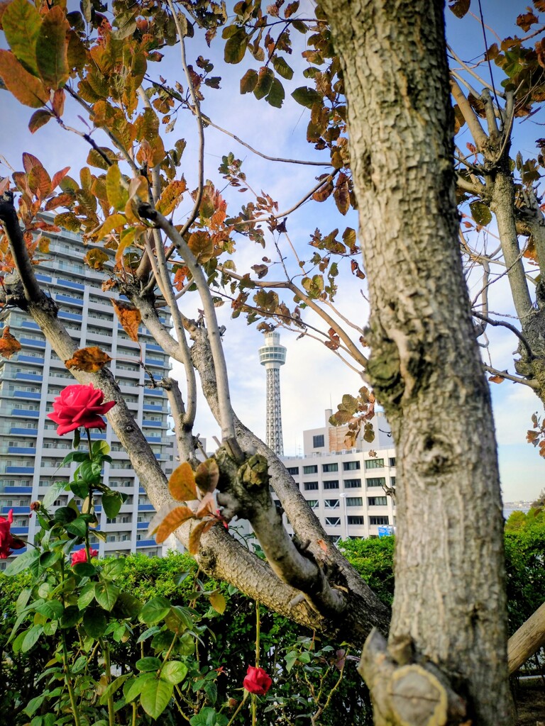 小さなマリンタワー