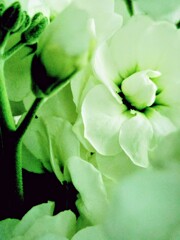 ロマンスがありあまる　③