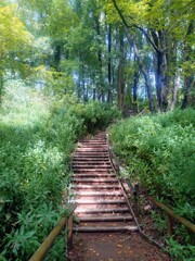 里山へ