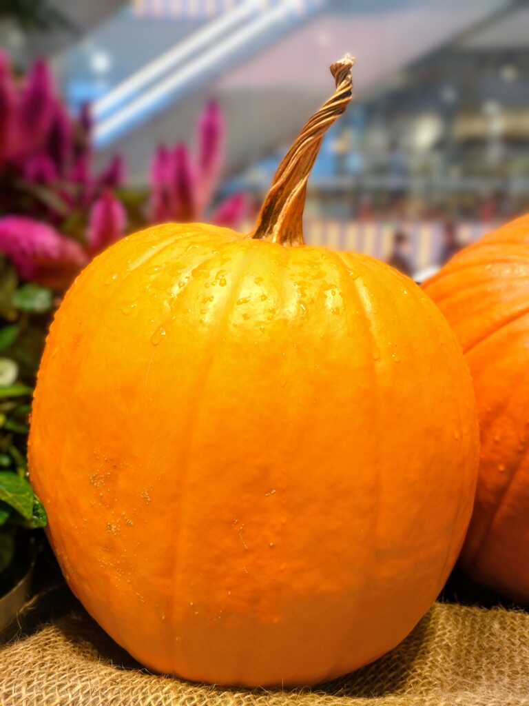 ハロウィンかぼちゃ