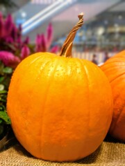 ハロウィンかぼちゃ