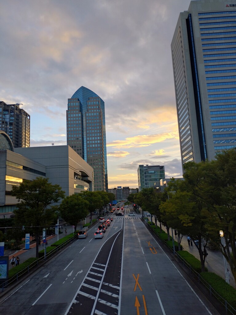 横浜みなとみらいけやき通り