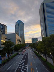 横浜みなとみらいけやき通り
