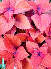 今　この瞬間を生きる