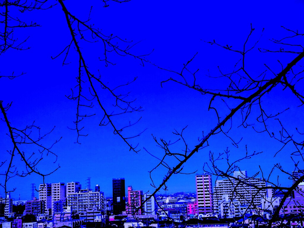 都立桜ヶ丘公園