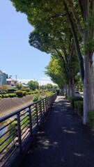 癒やされ道