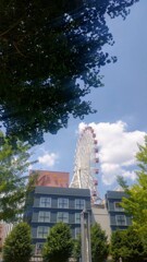 夏の観覧車