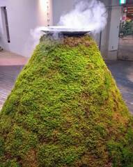 苔山